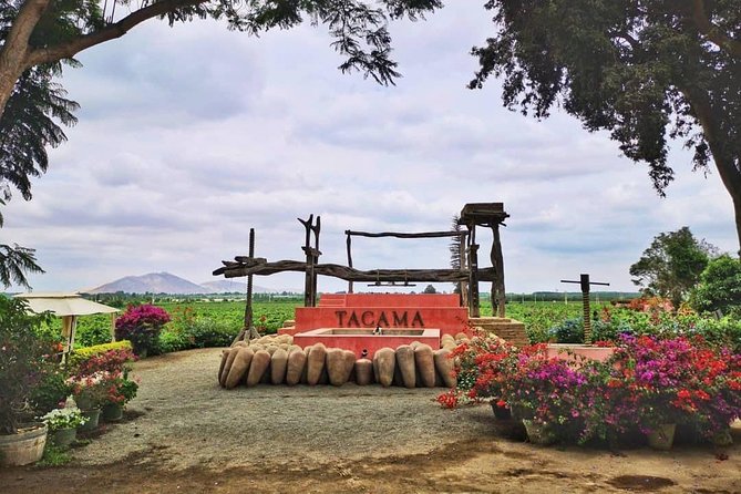 Winery and Pisco Distillery tour - Bodega Nietto and four generations of family work