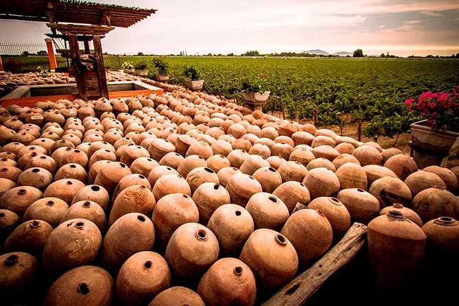 Winery and Pisco Distillery tour - Is $30.77 good value?