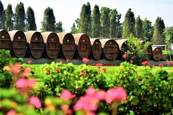 Winery and Pisco Distillery tour - La Vieja Bodega Lovera and its old cellar